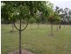 “Serpentine” 0 Bruce Highway, Canoona QLD 4702