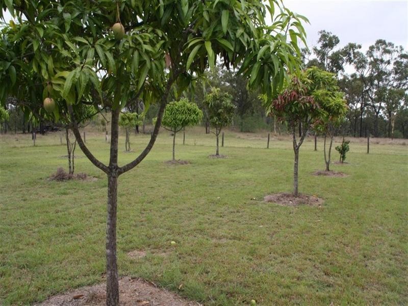 “Serpentine” 0 Bruce Highway, Canoona QLD 4702