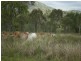 369 Kabra Road, Kabra QLD 4702