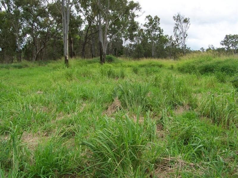 0 Wiseman Street, Gracemere QLD 4702