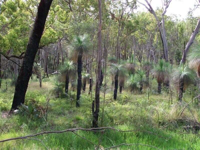 0 Nine Mile Road, Nine Mile Creek QLD 4714