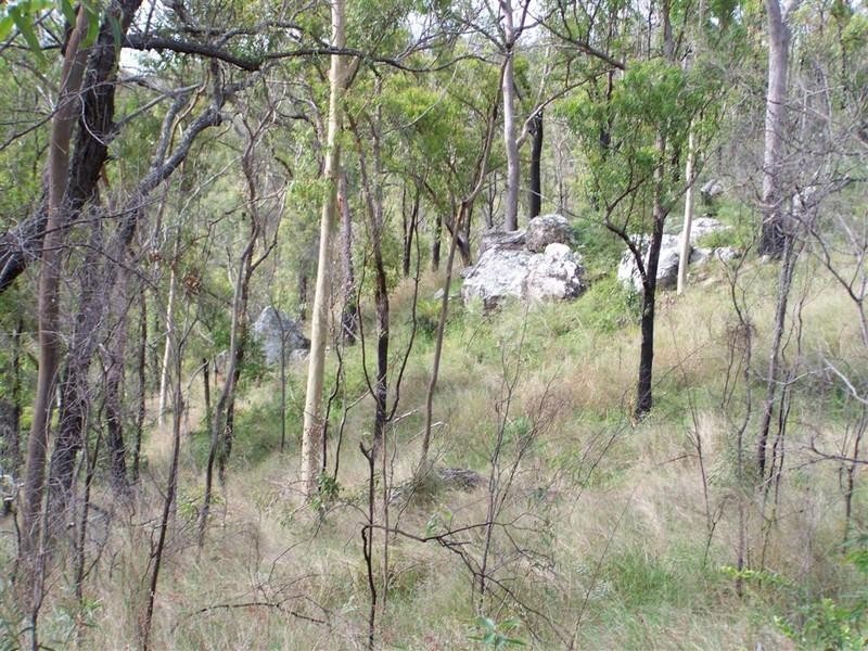 0 Nine Mile Road, Nine Mile Creek QLD 4714