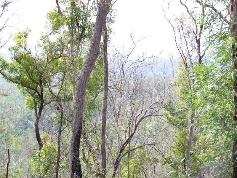 0 Nine Mile Road, Nine Mile Creek QLD 4714