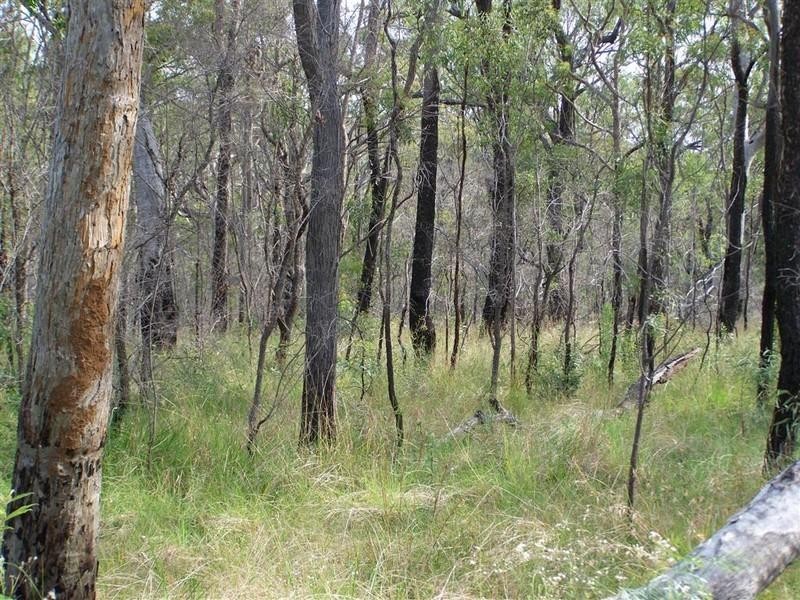 0 Nine Mile Road, Nine Mile Creek QLD 4714