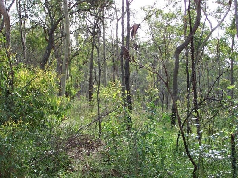 0 Nine Mile Road, Nine Mile Creek QLD 4714