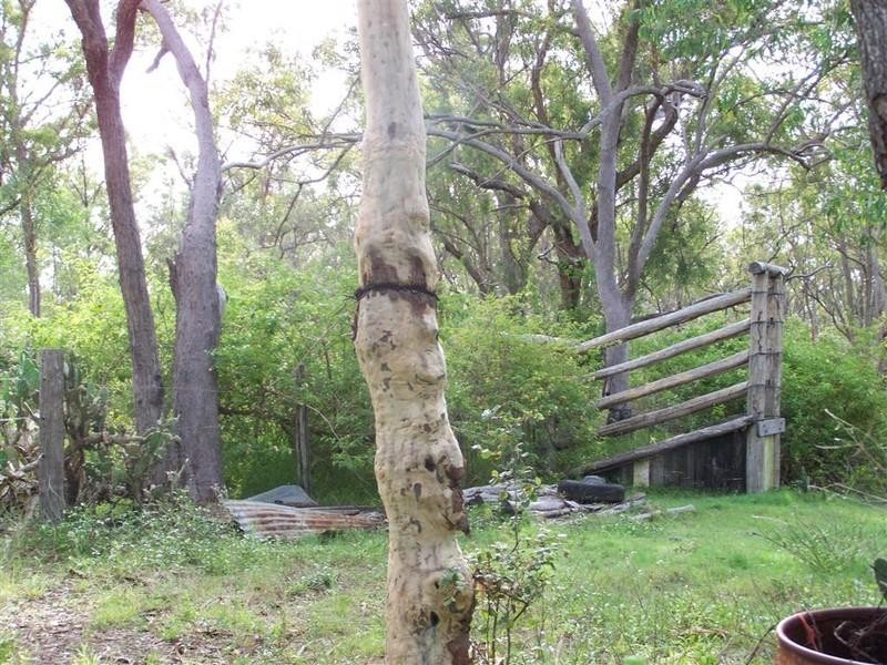 0 Nine Mile Road, Nine Mile Creek QLD 4714