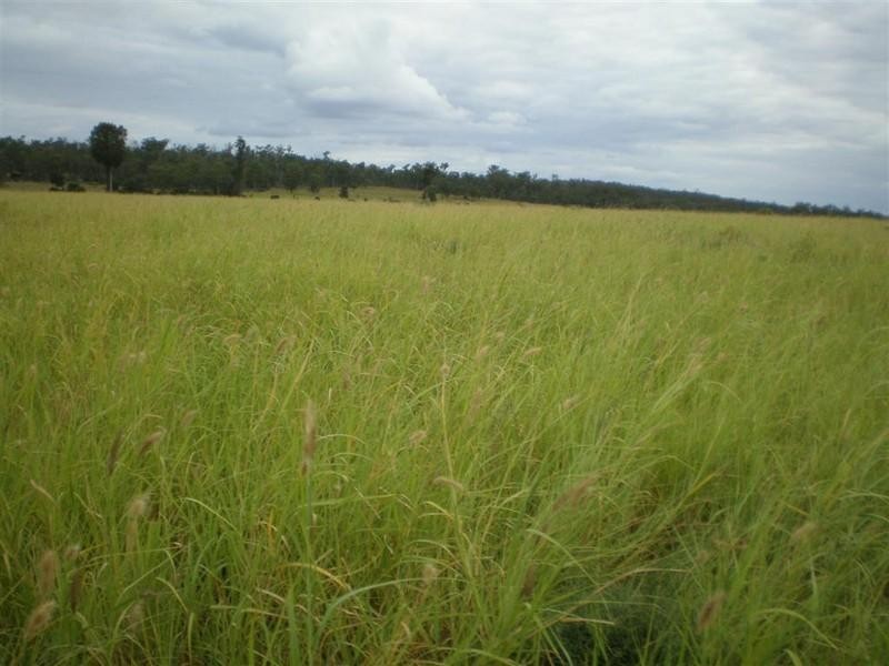 5936 Glencoe Road, Rawbelle QLD 4630