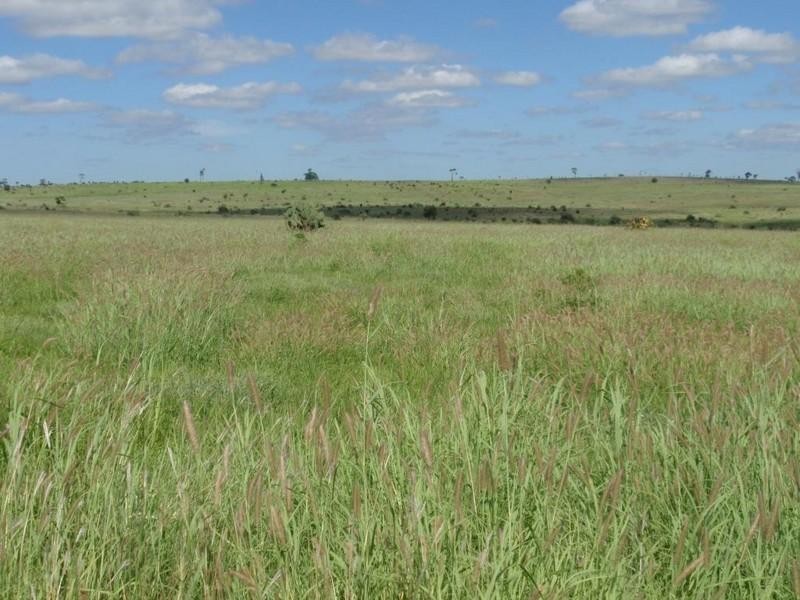 5936 Glencoe Road, Rawbelle QLD 4630