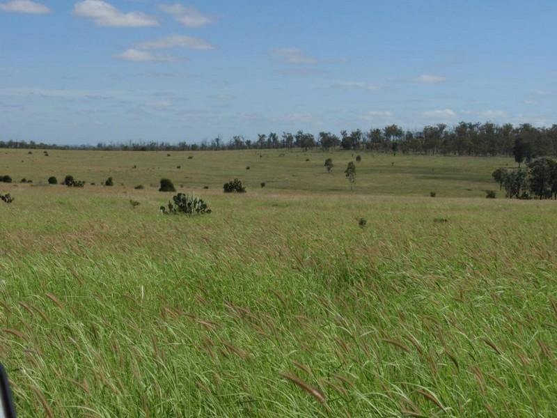 5936 Glencoe Road, Rawbelle QLD 4630