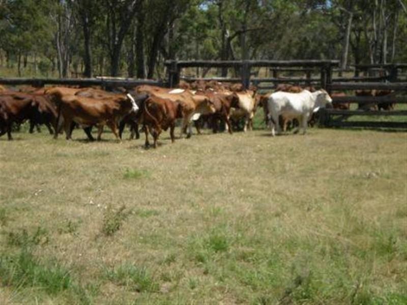 5936 Glencoe Road, Rawbelle QLD 4630