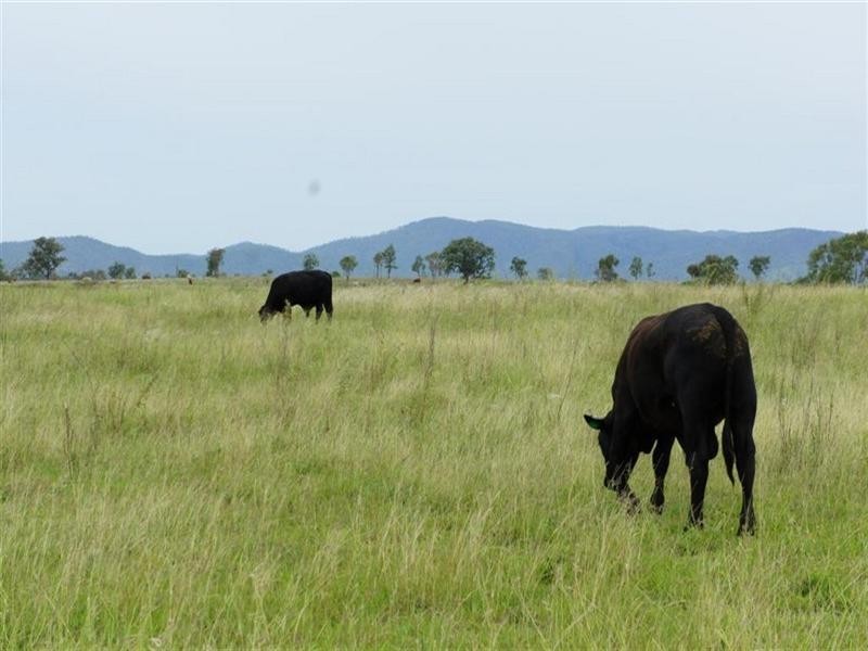 Lot 9, 178 McEvoy Road, Kabra QLD 4702