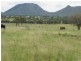 Lot 9, 178 McEvoy Road, Kabra QLD 4702