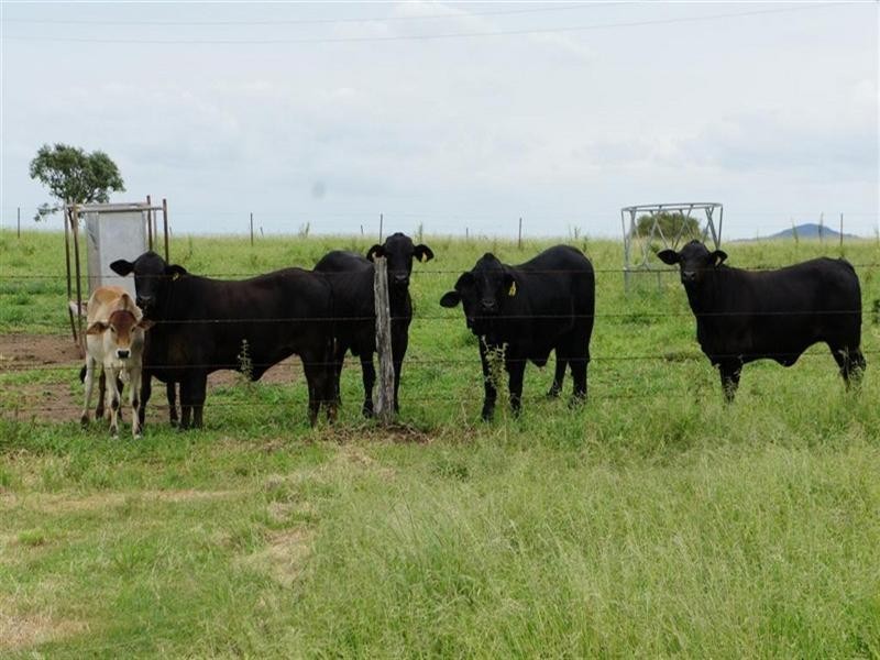 Lot 10, 178 McEvoy Road, Kabra QLD 4702