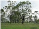 24 Nine Mile Alton Downs Road, Alton Downs QLD 4702