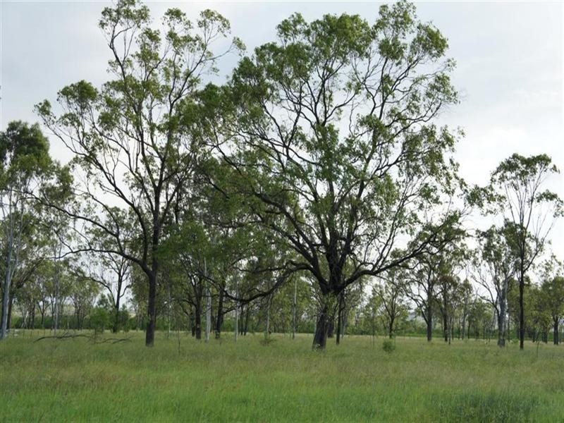 24 Nine Mile Alton Downs Road, Alton Downs QLD 4702