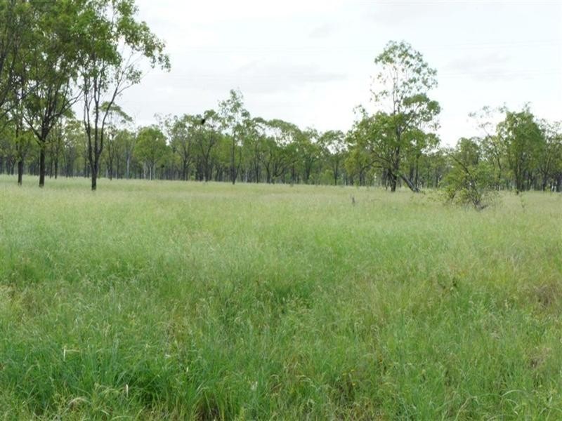 24 Nine Mile Alton Downs Road, Alton Downs QLD 4702