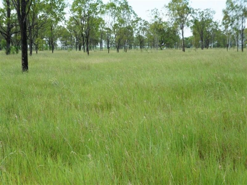 24 Nine Mile Alton Downs Road, Alton Downs QLD 4702