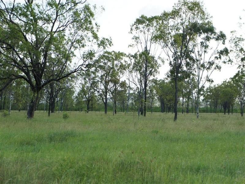 24 Nine Mile Alton Downs Road, Alton Downs QLD 4702