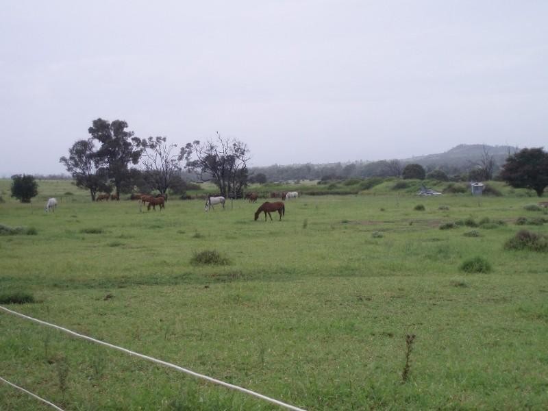 84 Stewart Road, Garnant QLD 4702