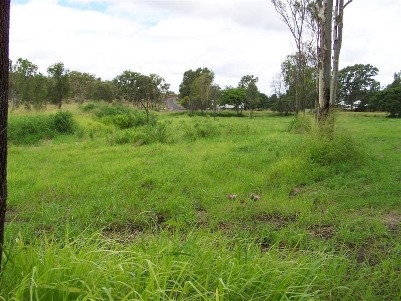 Lot 201 Wiseman Street, Kabra QLD 4702