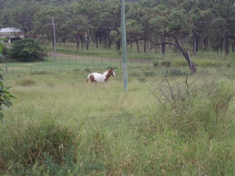 46 Isabella Street, Stanwell QLD 4702