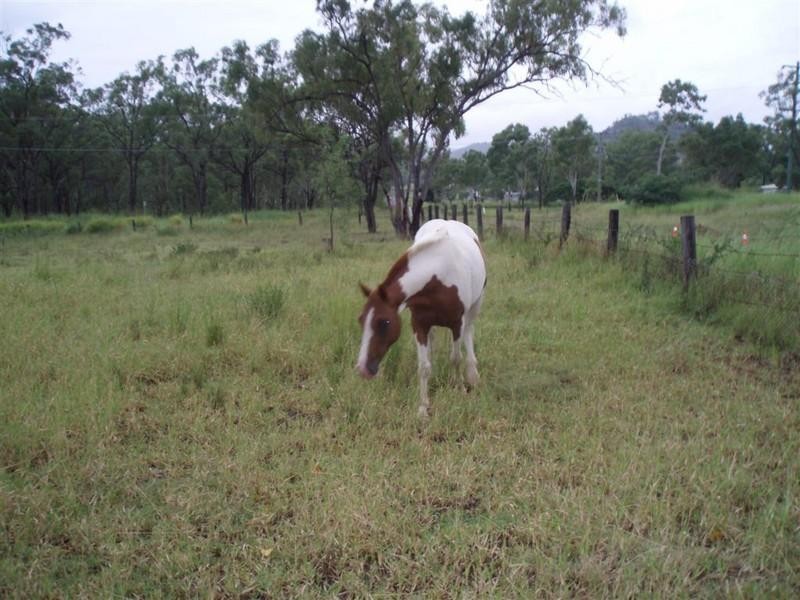 46 Isabella Street, Stanwell QLD 4702