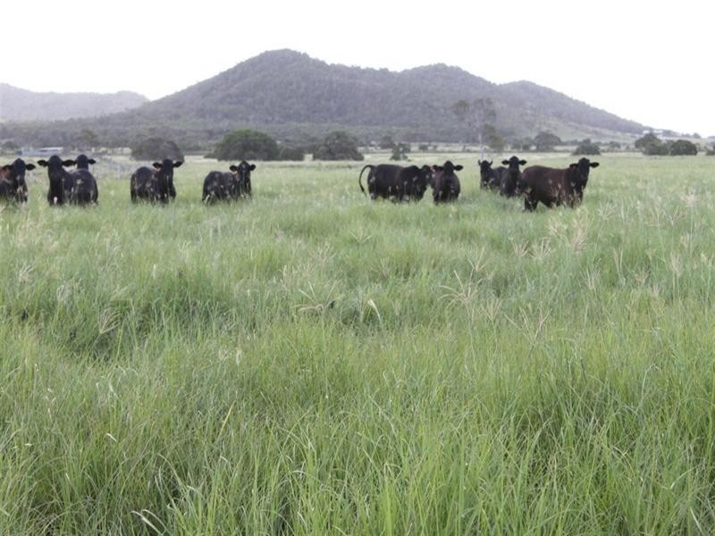 Barmoya QLD 4703