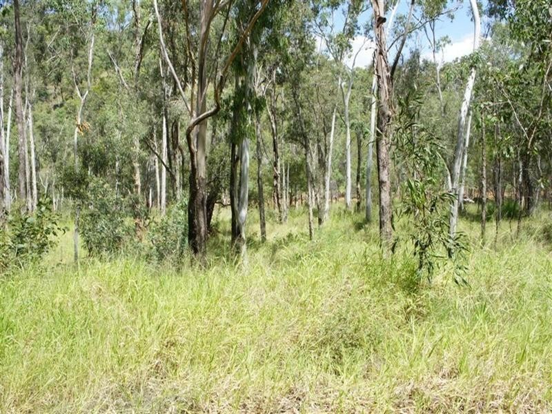 3 Moses Road, Ridgelands QLD 4702