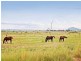 Lot 4 Ridgelands Road, Alton Downs QLD 4702