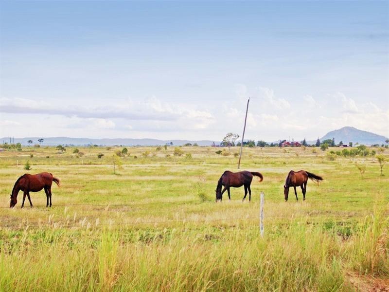 Lot 4 Ridgelands Road, Alton Downs QLD 4702