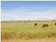 Lot 4 Ridgelands Road, Alton Downs QLD 4702