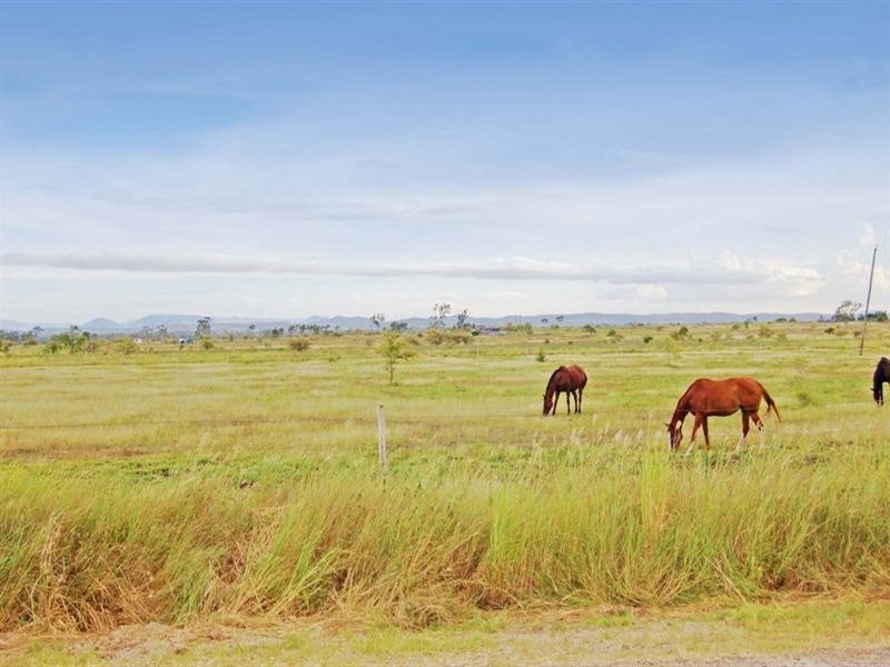Lot 4 Ridgelands Road, Alton Downs QLD 4702