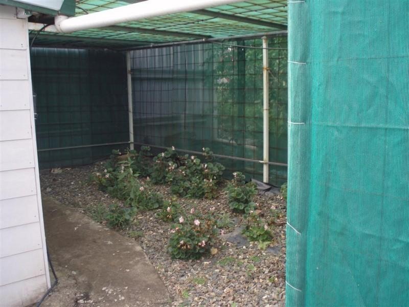 4 Queen Street, Mount Morgan QLD 4714