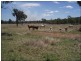 Lot 215 Bartlem Road, Westwood QLD 4702