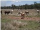 Lot 215 Bartlem Road, Westwood QLD 4702
