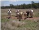 Lot 215 Bartlem Road, Westwood QLD 4702