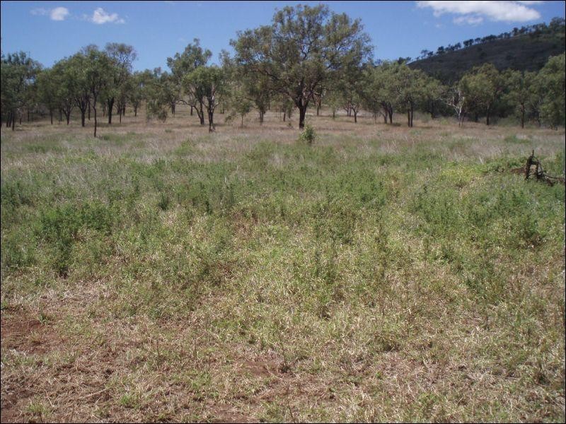 Lot 64 Little Road, Westwood QLD 4702