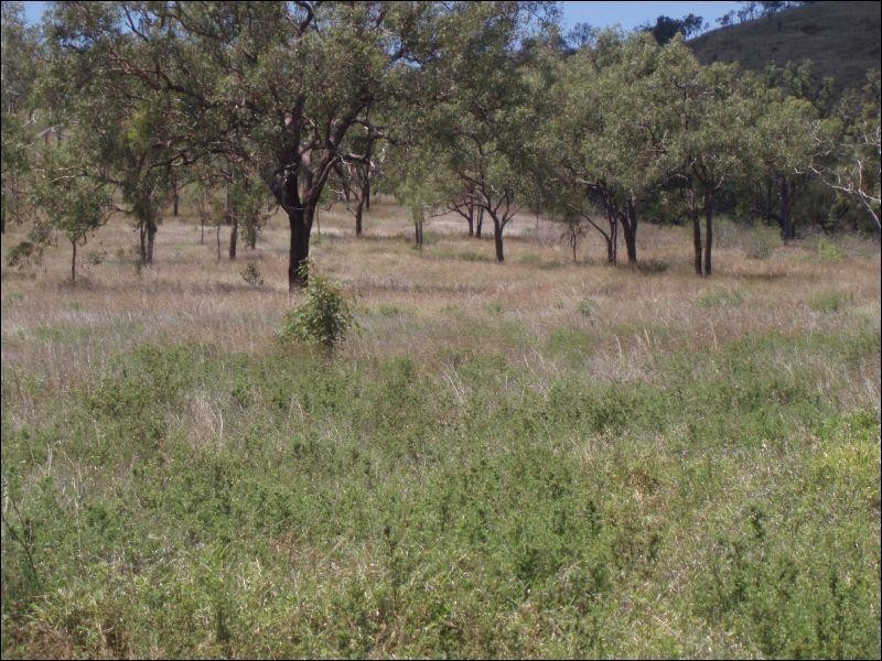 Lot 64 Little Road, Westwood QLD 4702