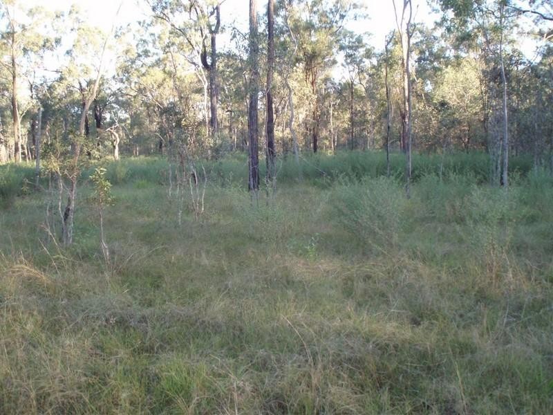 Lot 18 Ulam Connection Road, Bajool QLD 4699