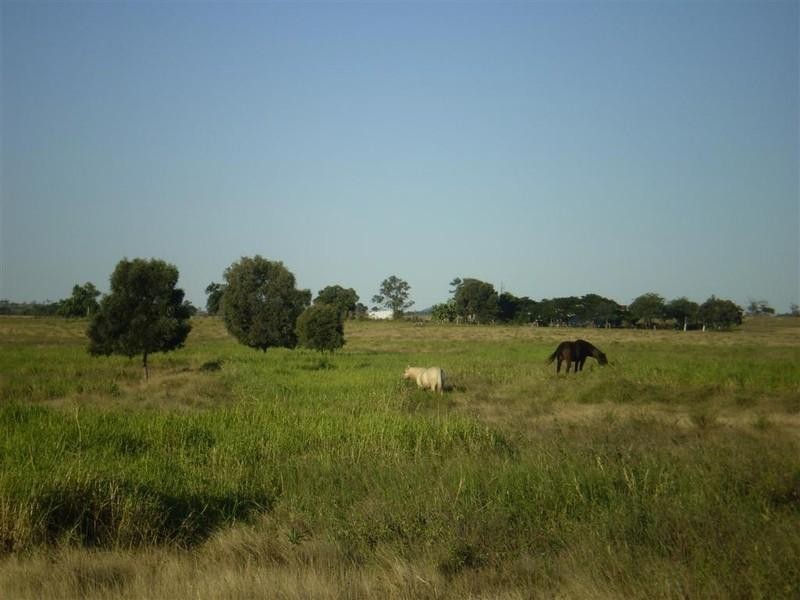 419 Bishop Road, Ridgelands QLD 4702