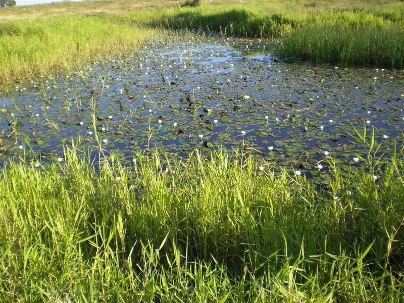 419 Bishop Road, Ridgelands QLD 4702