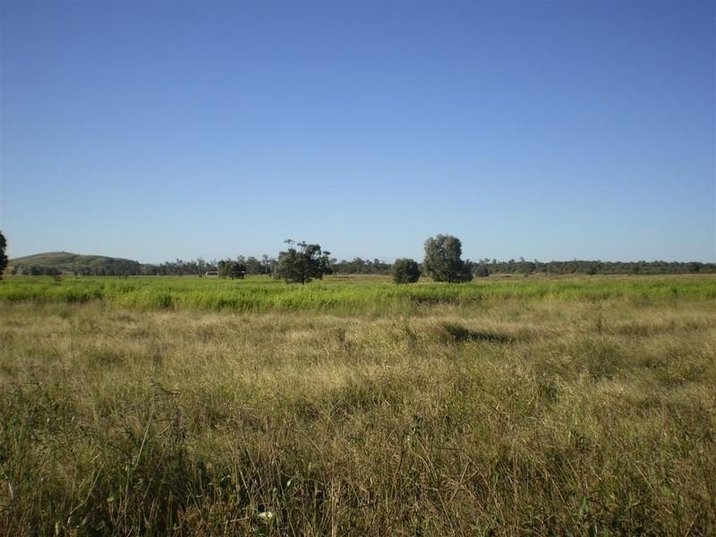 419 Bishop Road, Ridgelands QLD 4702