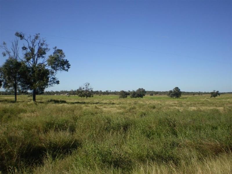 419 Bishop Road, Ridgelands QLD 4702