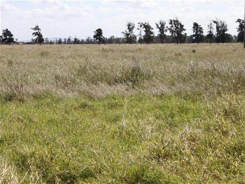 0 Barmoya Road, Barmoya QLD 4703