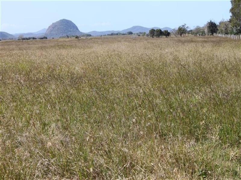 1 Barmoya Road, Barmoya QLD 4703