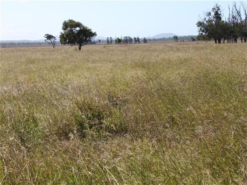 1 Barmoya Road, Barmoya QLD 4703