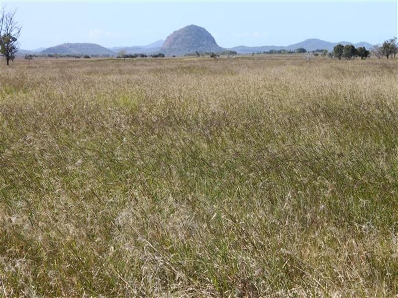 1 Barmoya Road, Barmoya QLD 4703