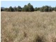 0 SHAWS Road, Barmoya QLD 4703
