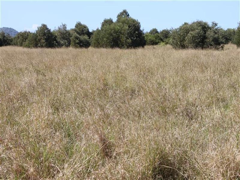 0 SHAWS Road, Barmoya QLD 4703