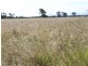 0 SHAWS Road, Barmoya QLD 4703